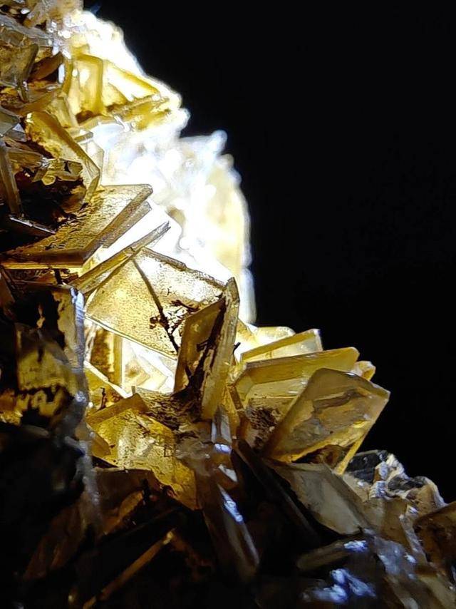 开打！荷兰剥夺中方控制权除氟石和铋外北京还有5张反制王牌(图4)