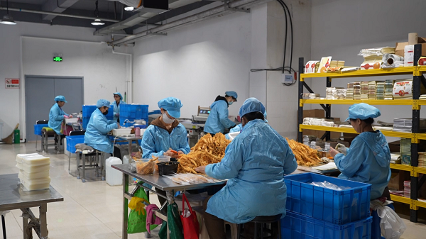 米乐M6：踏雪长白之行溯源道地人参御君方以脚步丈量每一份健康承诺(图4)